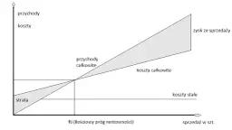 Próg Rentowności: Jak Obliczyć? Wzory i Zadania z Rozwiązaniami