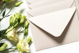 Ile dać na wesele w 2025? Widełki kwot i porady