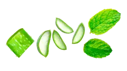 Skuteczne sposoby na bolące dziąsła – ulga i domowe metody