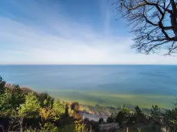 Widok z **wzgórza Gosań** na spokojne morze i piaszczystą plażę. Na pierwszym planie drzewa i zieleń.