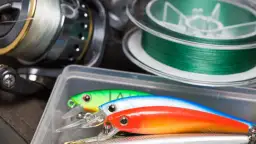 Jaka plecionka na szczupaka - wybierz najlepszą dla sukcesu wędkarskiego