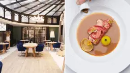 Restaurant gastronomique Toulouse: Votre guide étoilé pour un dîner parfait