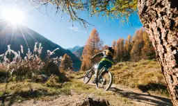 Najlepsze trasy rowerowe w Krynicy-Zdroju – piękne widoki i różne poziomy trudności