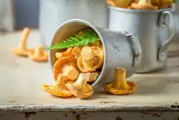 Jakie przyprawy do kurek wydobędą ich pełny smak i aromat?