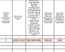 Jak wypełnić oświadczenie do PGE i uniknąć najczęstszych błędów