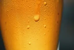 Z czym pić piwo? Odkryj idealne naczynia i temperatury serwowania