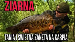 Jakie ziarna na ryby są najskuteczniejsze? Odkryj tajniki wędkowania