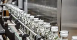 Wódka Bocian od kiedy na rynku? Poznaj jej fascynującą historię