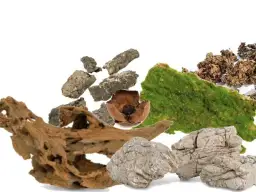 Wystrój terrarium: dekoracje i ozdoby do terrarium