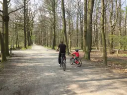 Czy w Belgii jest bezpiecznie? Odkryj zagrożenia i bezpieczne miejsca