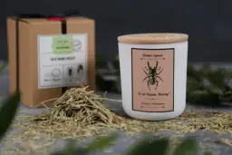 Świeczka o zapachu skoszonej trawy – poczuj letnią świeżość w domu