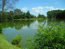 Cennik łowiska 3 Stawy Goryń – poznaj ceny i zasady wędkowania