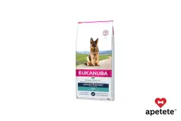 Jaka karma dla owczarka niemieckiego? Ekspert radzi i poleca!