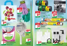 Dino: Co warto kupić? Perełki, promocje i rady ekspertki!