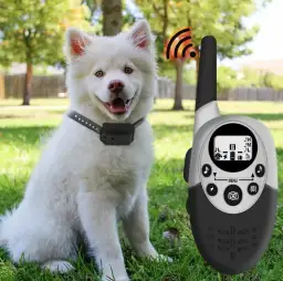 Jak działa obroża elektryczna dla psa? Poznaj jej mechanizm i skutki