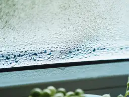 Parujące okna zimą? Sprawdź, jak skutecznie pozbyć się wilgoci!
