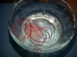 Eksperyment z lodem i solą: zaskakujące efekty i proste instrukcje