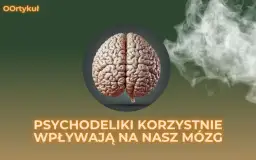 Jak psychodeliki działają na mózg? Neurobiologia w pigułce