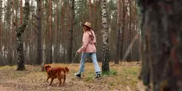 Kiedy wychodzić z psem na spacer, aby uniknąć problemów zdrowotnych?