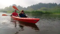 Para płynie kajakiem po rzece, w tle las i trzciny. To piękny dzień na spływ Pilicą, miasto w oddali.
