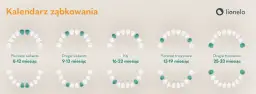 Lakowanie zębów od kiedy? Optymalny wiek i kalendarz dla dziecka