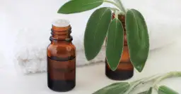 Olejek kamforowy: Na co naprawdę pomaga? Unikaj błędów w użyciu!