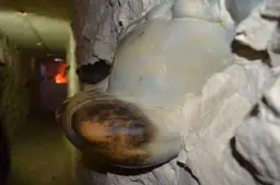 Rezerwat przyrody Krzemionki Opatowskie - odkryj jego niezwykłe tajemnice