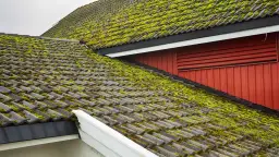 Jak usunąć mech z dachówki - skuteczne metody, które zadziałają natychmiast