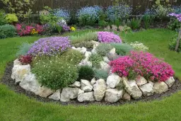 Jak zrobić skalniak w ogrodzie krok po kroku – proste porady dla początkujących