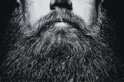 Zbliżenie na gęsty, siwy zarost. Dowiedz się, jak przyciąć zarost, by wyglądał schludnie i stylowo.