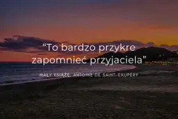 To bardzo przykre zapomnieć przyjaciela" - cytaty o przyjaźni na odległość, Mały Książę. Zachód słońca nad morzem.