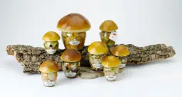 Grzyby we śnie - Odkryj tajemnicze piękno natury