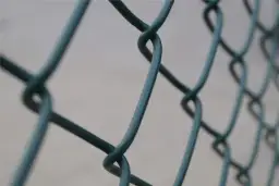 Ile kosztuje ogrodzenie z siatki? Sprawdź ceny i ukryte koszty