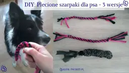 Jak zrobić szarpak dla psa DIY? Poradnik krok po kroku!