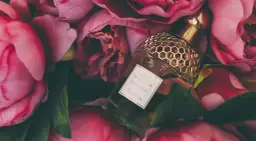 Czym się różni woda toaletowa od wody perfumowanej – poznaj kluczowe różnice