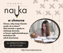Jak wygląda nauczanie domowe w liceum? Odkryj kluczowe aspekty