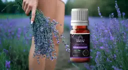 Komary? Zrób naturalny spray lawendowy! Przepis DIY