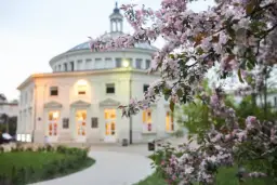 Czy notariusz zawiadamia sąd o odrzuceniu spadku? Sprawdź, co musisz wiedzieć