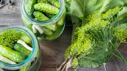 Jak długo kisić ogórki? Odkryj sekrety idealnego smaku i czasu