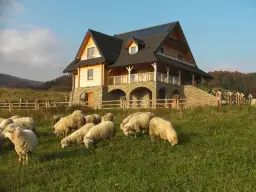 Pieniny gdzie nocleg - najlepsze opcje na udany wypoczynek
