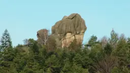 Rezerwat przyrody Prządki - co jest przedmiotem ochrony i dlaczego?