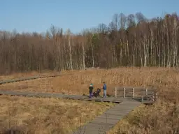 Granica Kampinos atrakcje: odkryj unikalne miejsca i przyrodę