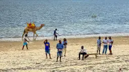 Najlepsze atrakcje w Mombasie, które musisz zobaczyć podczas podróży