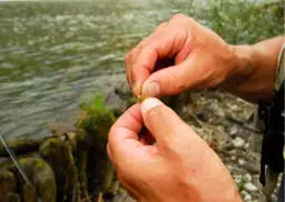 Dłonie wędkarza wiążące haczyk z muchą nad wodą.
