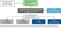 Mastozytose Diagnostik: Wichtige Kriterien und Methoden zur Erkennung