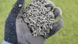 Jaki obornik na trawnik? Odkryj najlepsze nawozy dla zdrowej trawy