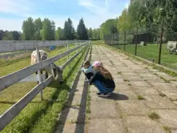 Wieś co zagroda edukacyjna: odkryj fascynujące warsztaty dla dzieci