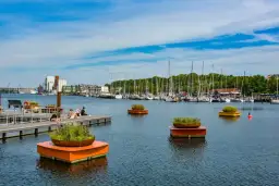 Najlepsze atrakcje w Flensburgu, które musisz zobaczyć podczas wizyty