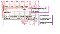 Opłaty za śmieci: Jak sprawdzić i obniżyć rachunek?