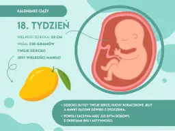 18 tydzień ciąży: jak wygląda dziecko i co warto wiedzieć o jego rozwoju